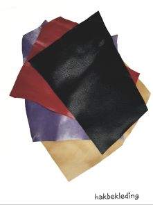 Hakbekleding