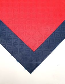 dunlop ruit plaat