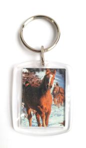 sleutelhanger met foto en sleutelring per 60 st.assortie